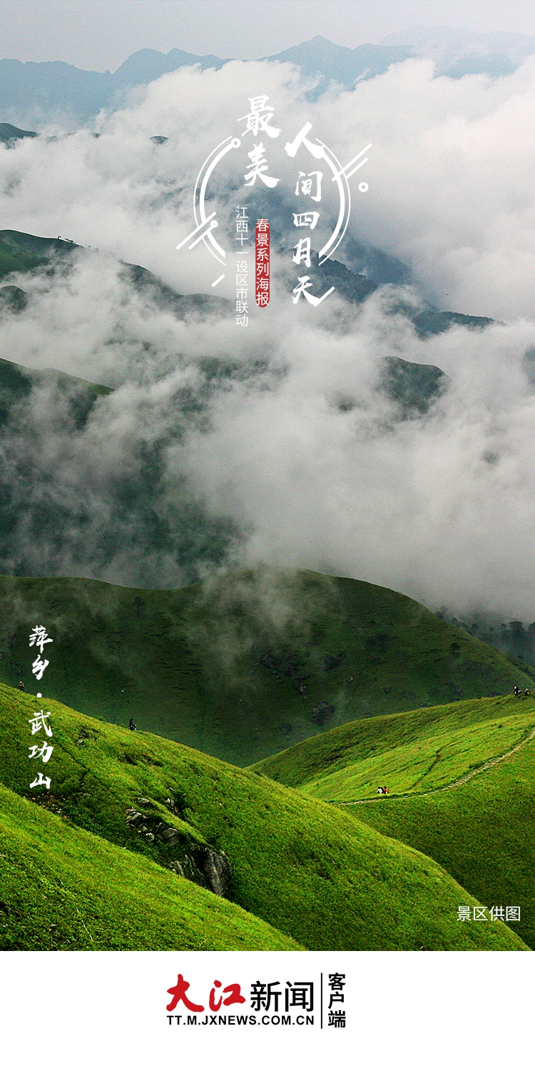 春色满园美景照,春色满屏樱花绽放