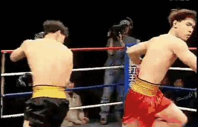 散打躲闪的动作要领及训练方法,武术散打训练计划