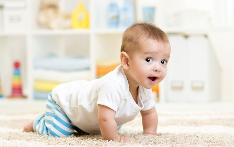 涨姿势芝士酸奶,丹麦的奶粉有哪些
