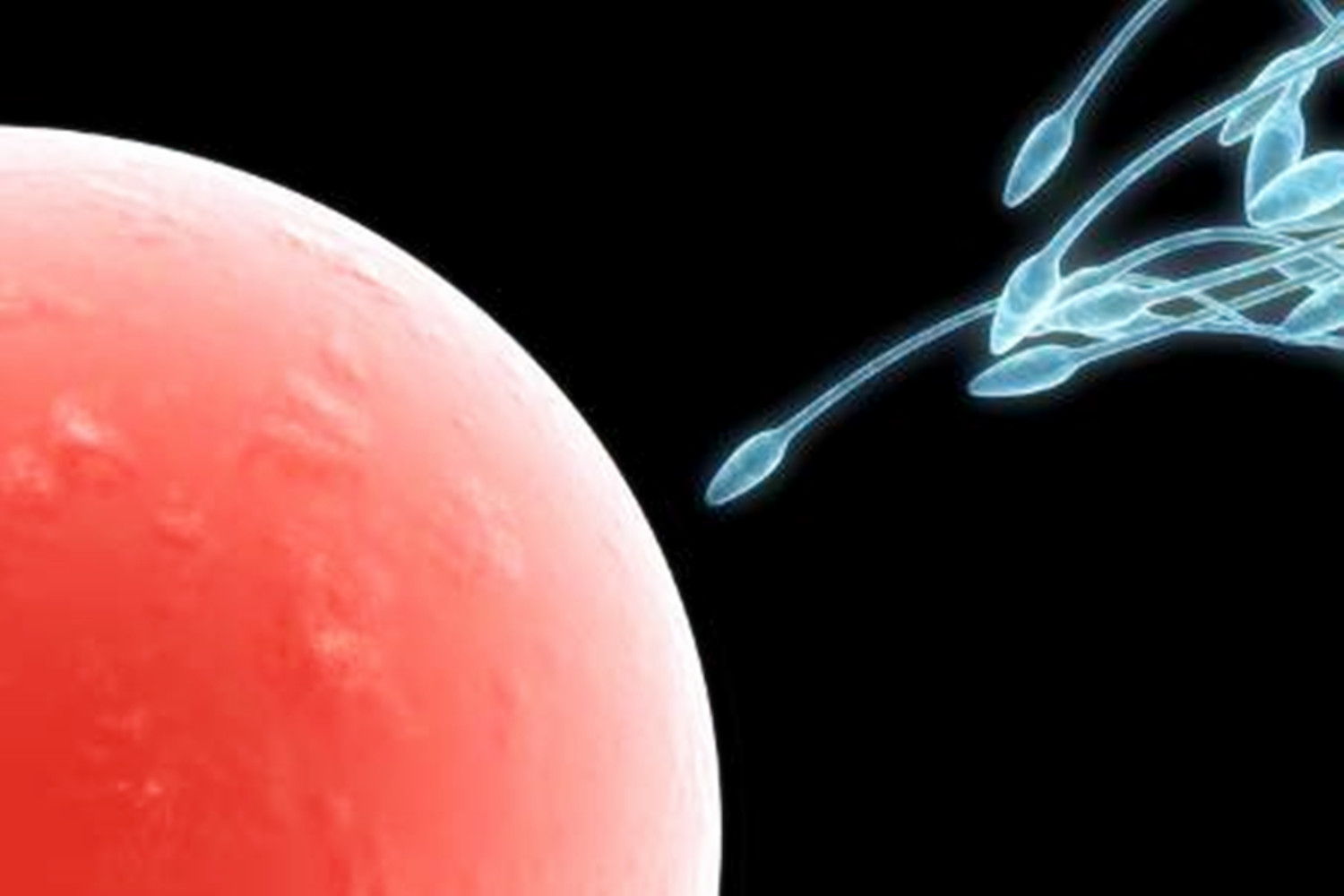 女性前七后八是安全期么,女性前七后八是安全期还是危险期