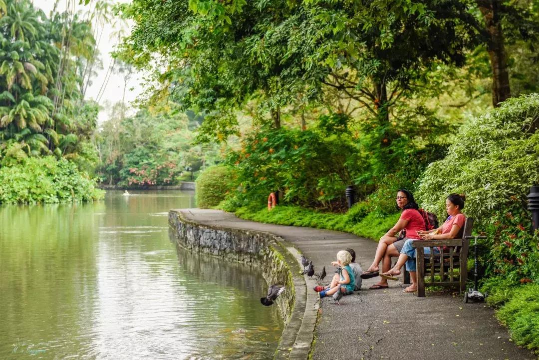 新加坡遛娃最佳地点,新加坡遛娃的好去处