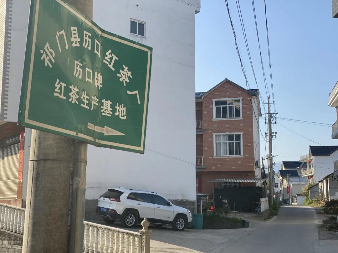 祁门红茶怎么样,祁门红茶简介