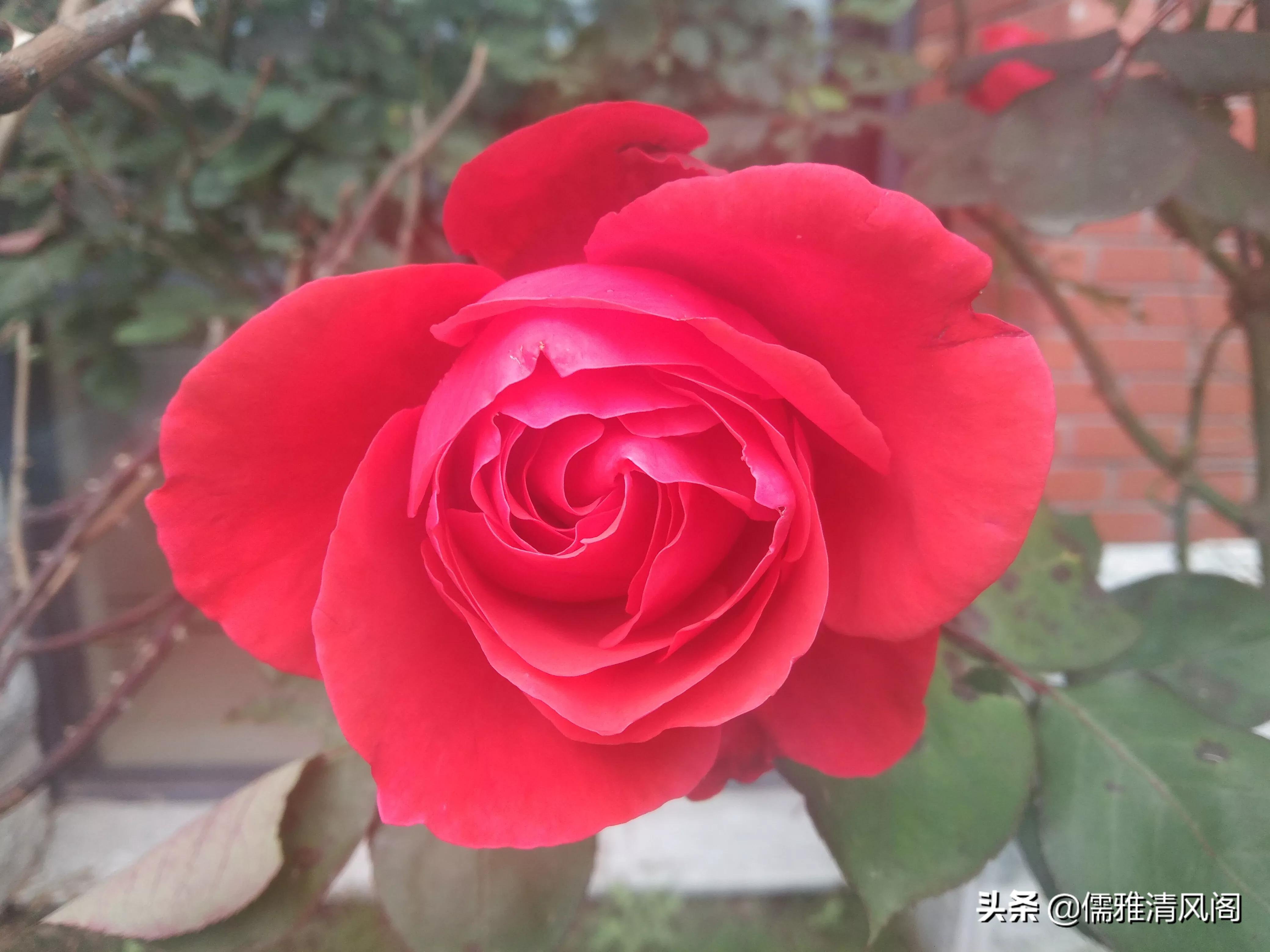 微小说讽刺哲理,微小说的优点