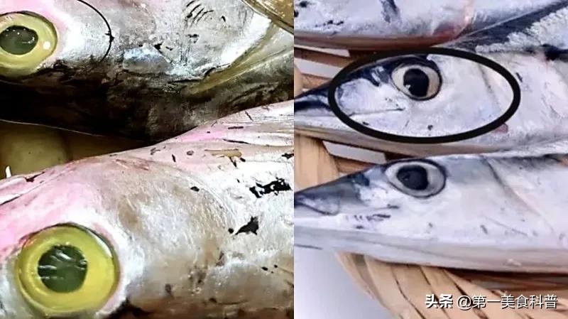 买带鱼记得要分清黑眼睛和黄眼睛,买带鱼黄眼睛和黑眼睛哪种好