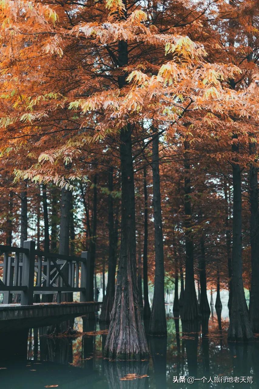 江苏这个“快乐”的城市，颜值不输苏杭，连苏东坡都在这养老