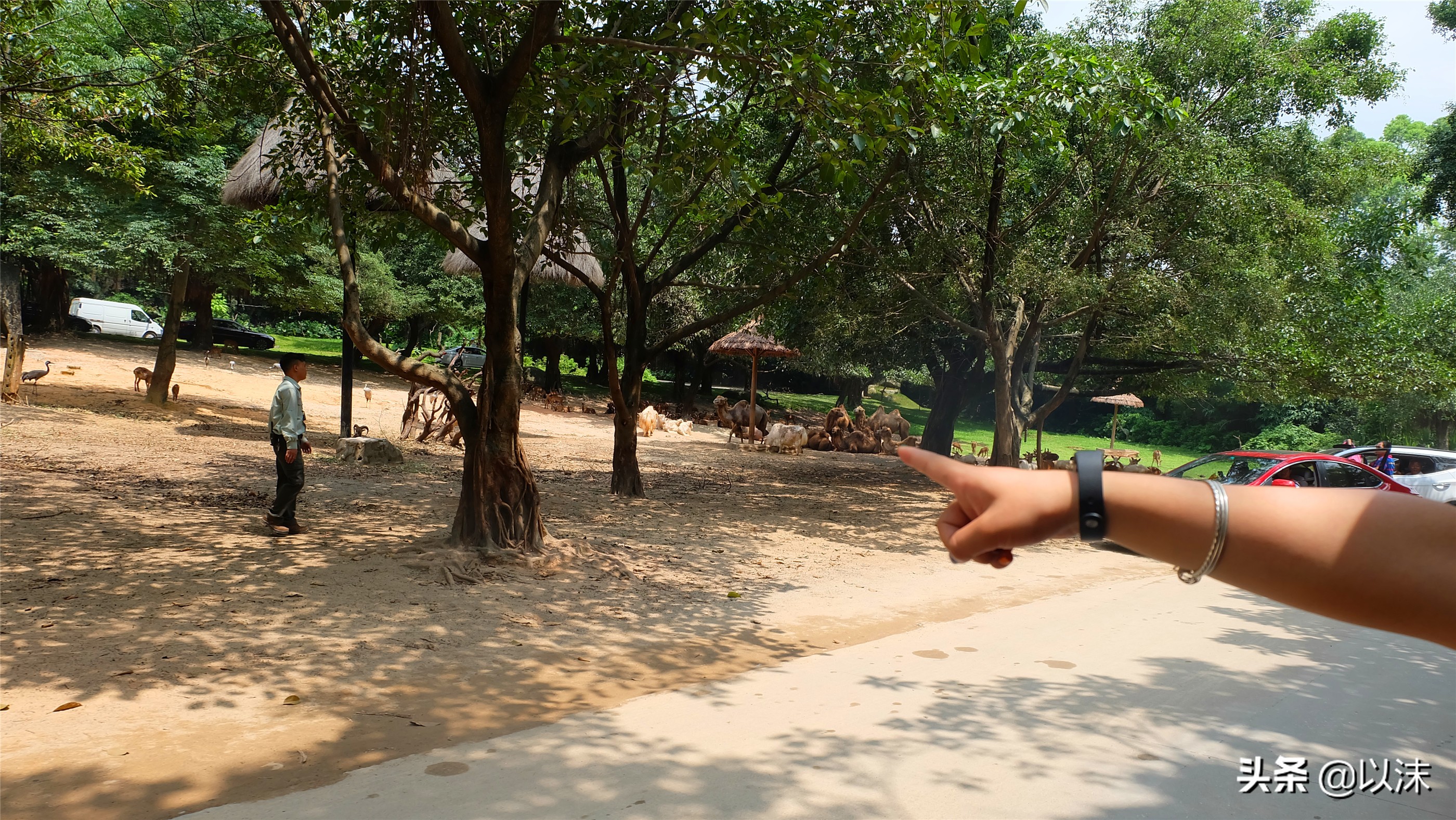 长隆野生动物世界游玩攻略,长隆野生动物世界带娃攻略