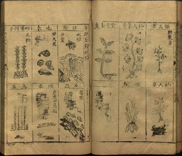 本草纲目中插图是李时珍画的吗,本草纲目李时珍插图