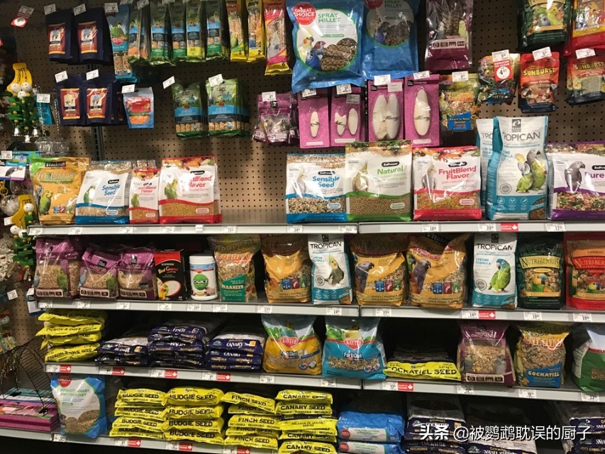 买了一对虎皮鹦鹉加零食鸟粮笼子结账1000块，是被商家坑了吗？