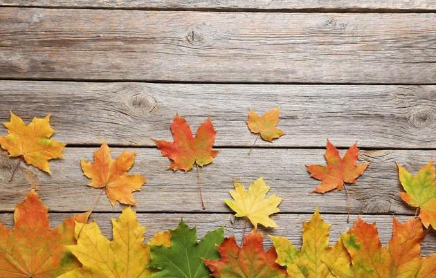 征信报告有哪些信息可以拒批贷款,征信查询过多如何才能贷到款