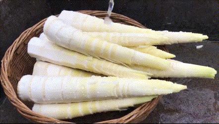 舌尖上的珍味春笋,舌尖上的春笋完整视频