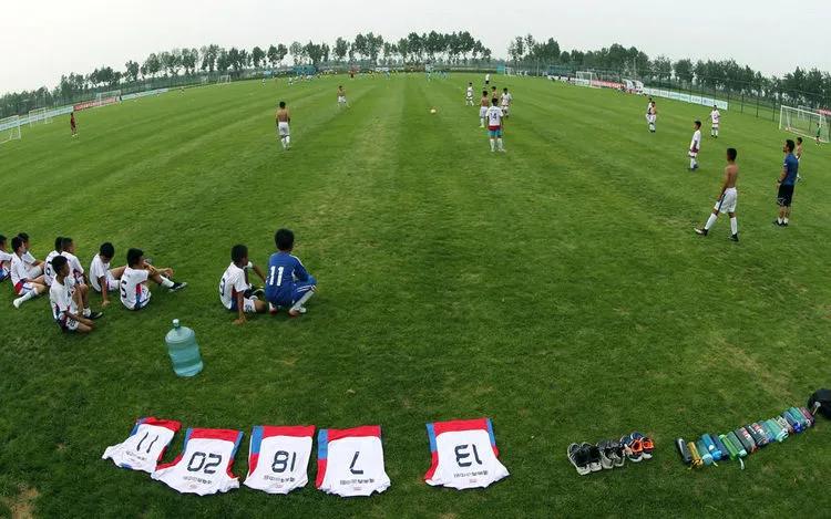 大荔县三级表彰,陕西大荔县殊荣