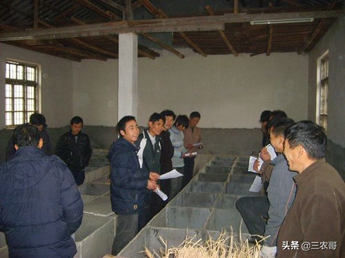 农村未来五大热门创业项目,30个农村小投资创业致富项目