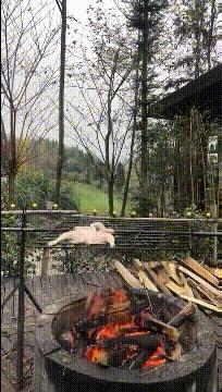 刚从后院挖出来的,大家帮我鉴定一下,我是不是要发财了?