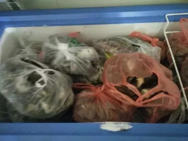 从禾花雀到云雀，又一种鸟快被中国人吃绝种了！