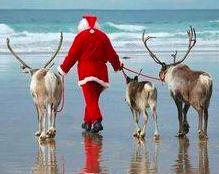 澳大利亚的圣诞节是怎么过的,澳大利亚圣诞节有什么特色