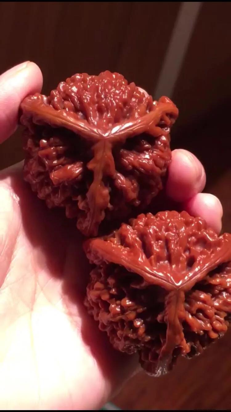 三棱文玩核桃哪里有卖的,三棱文玩核桃品种