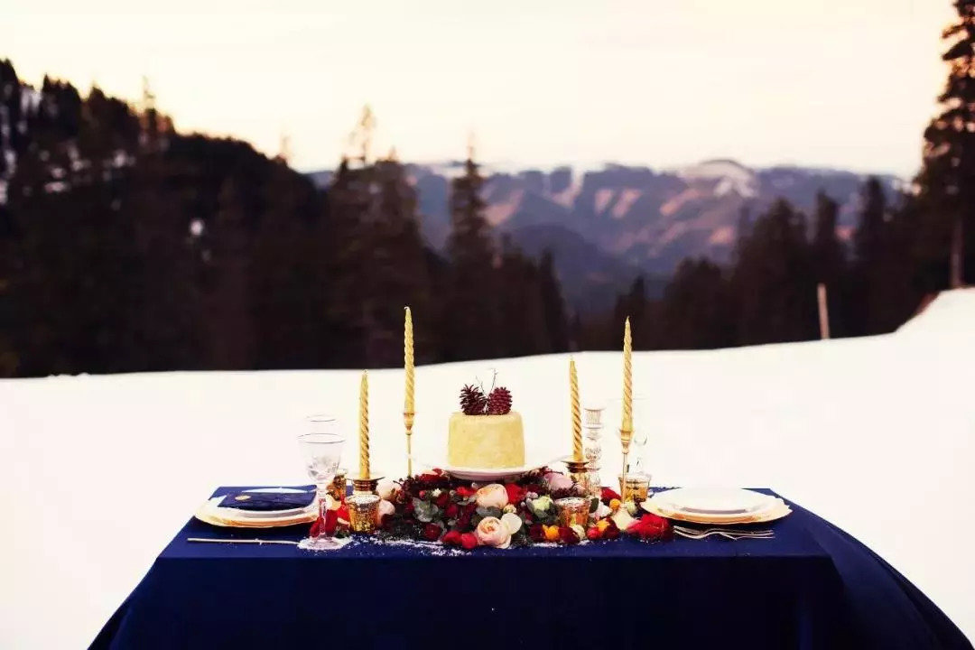 如何从零开始学插花,业余零基础花艺教程