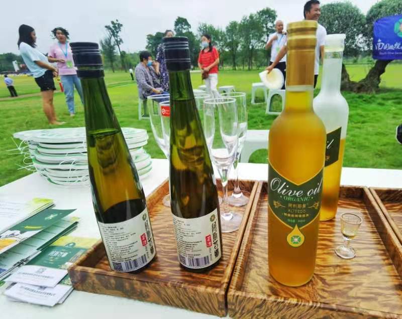 经济林风景,经济林立体种植