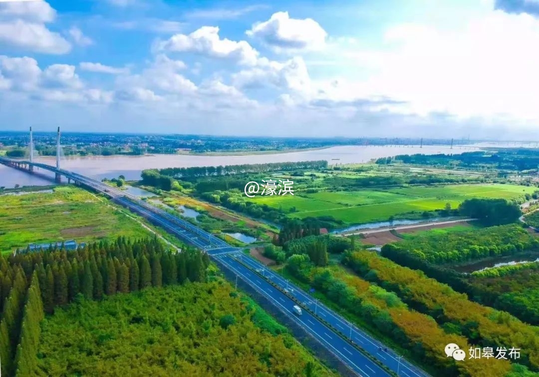 什么是如皋蝶尾,如皋的特点