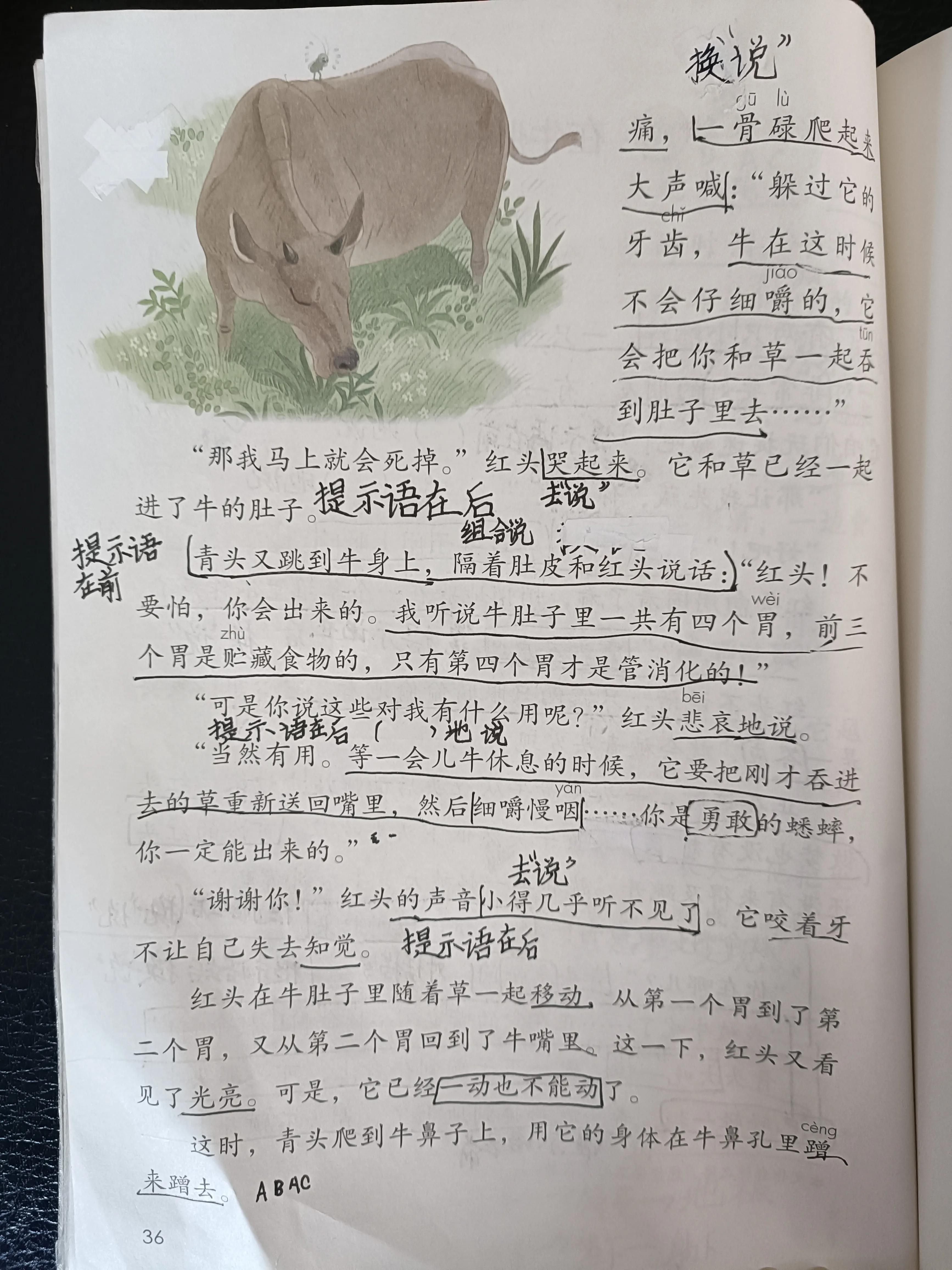 在牛肚子里旅行的提示语有哪些,提示语在中有什么作用