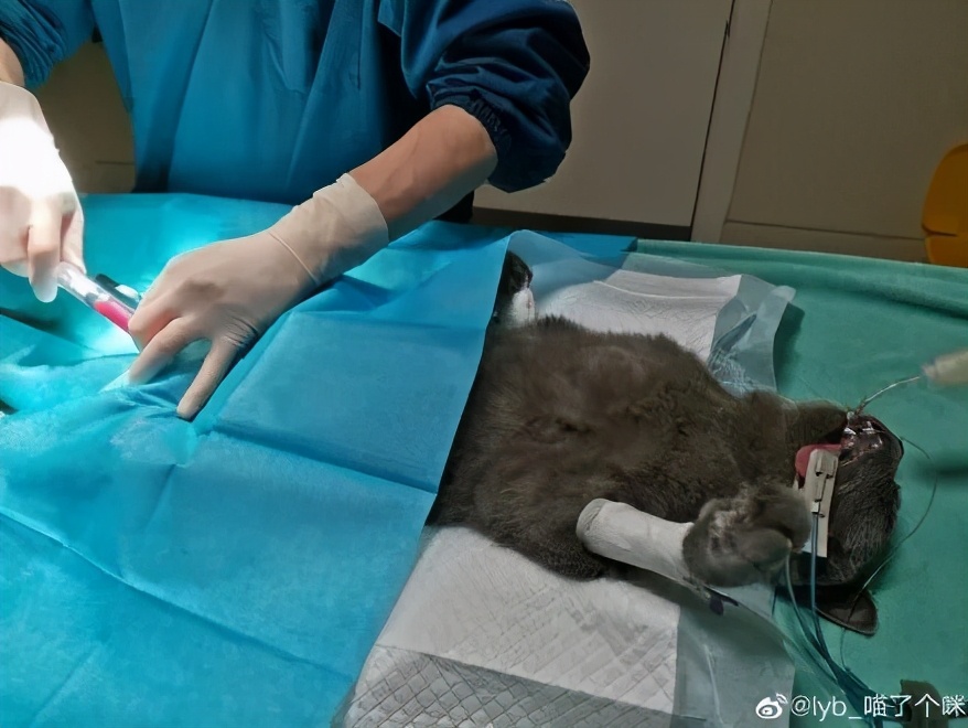 男言之隐怎么样,男言之隐介绍