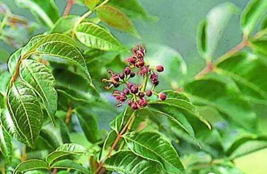 造纸的时候怎么样才能让纸更光滑,怎么样使纸张变平整