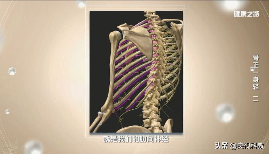 背包肩带反了怎么办,背包肩带老是松怎么办