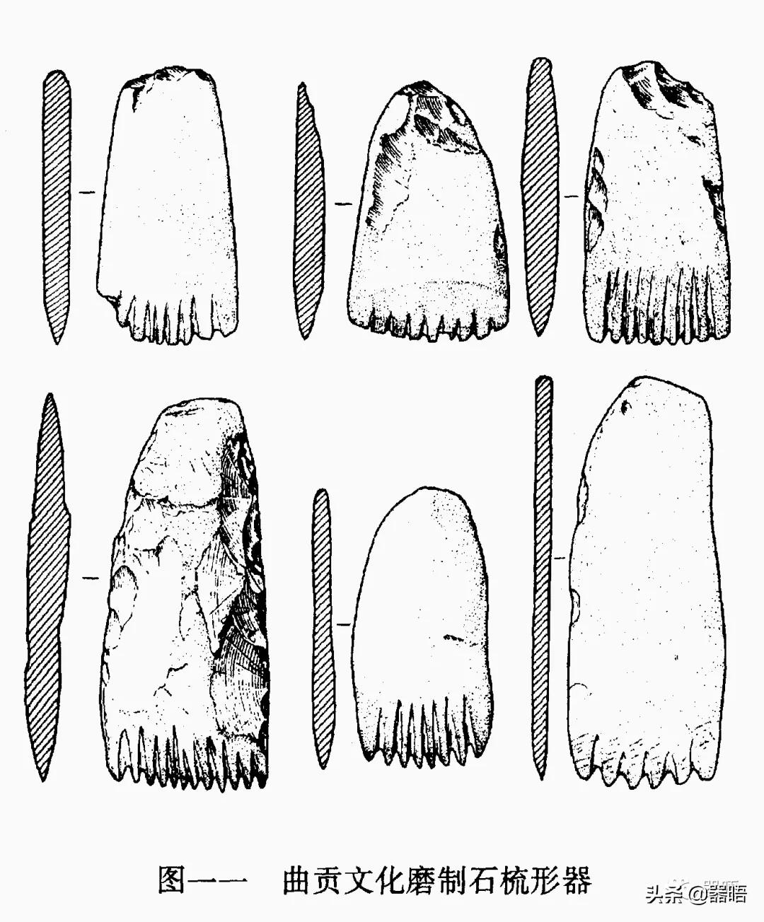 在西藏发现的史前生物,西藏的古人类