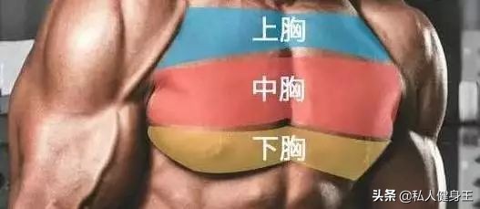 如何才能练出饱满的胸肌,五个动作教你如何练出饱满胸肌