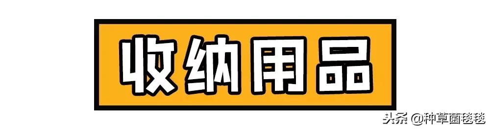 女人办公室必备物品,女生办公必备物品