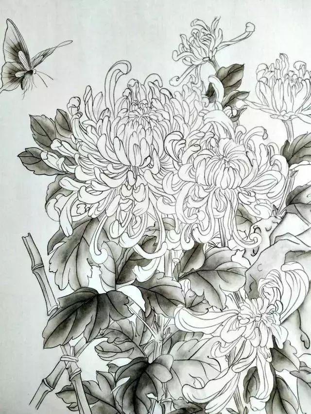 国画菊花教程工笔,工笔国画教程菊花蓝蝶