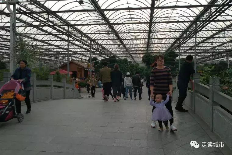 走读城市之廊坊安次(八):九天休闲谷