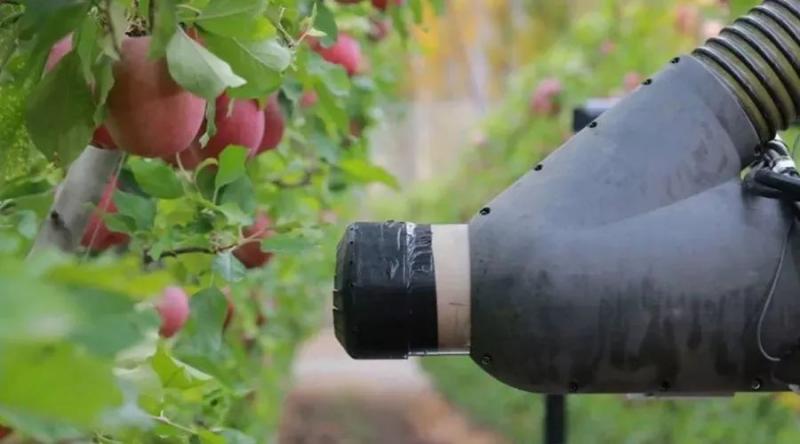 政策:支持农药产业科技创新;未来10年有机农业或领导中国农业