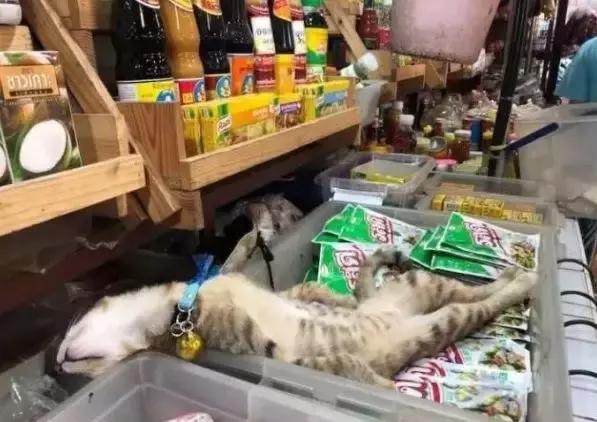 香港这家便利店的店长,靠着腮帮子走红了