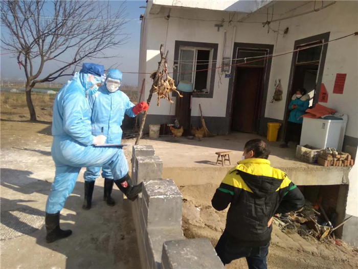 哪有什么岁月静好只有人负重前行,哪有岁月静好不过是有人负重前行