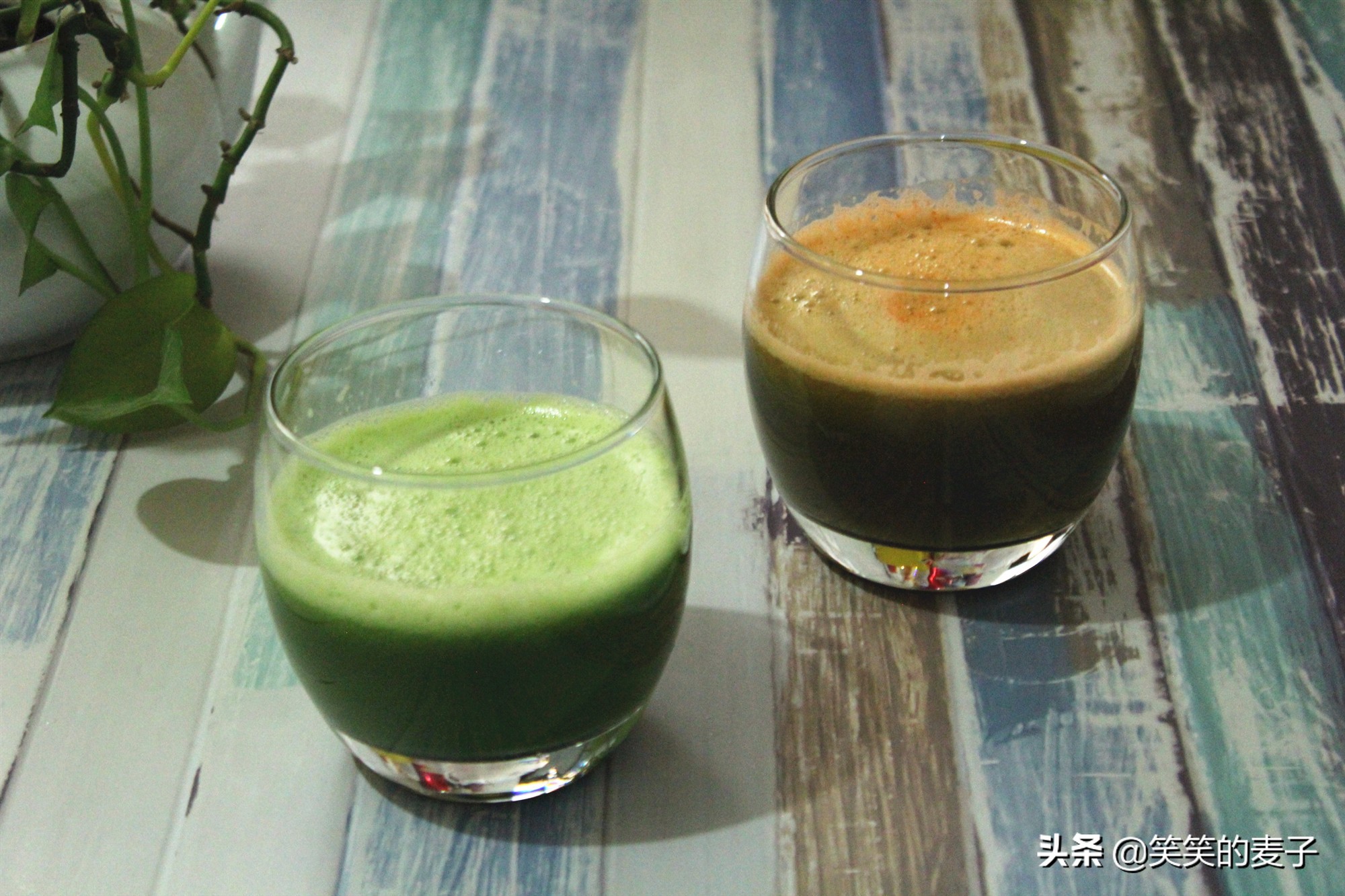 家庭自制饮品对身体有害,十大清热解毒去火的饮料