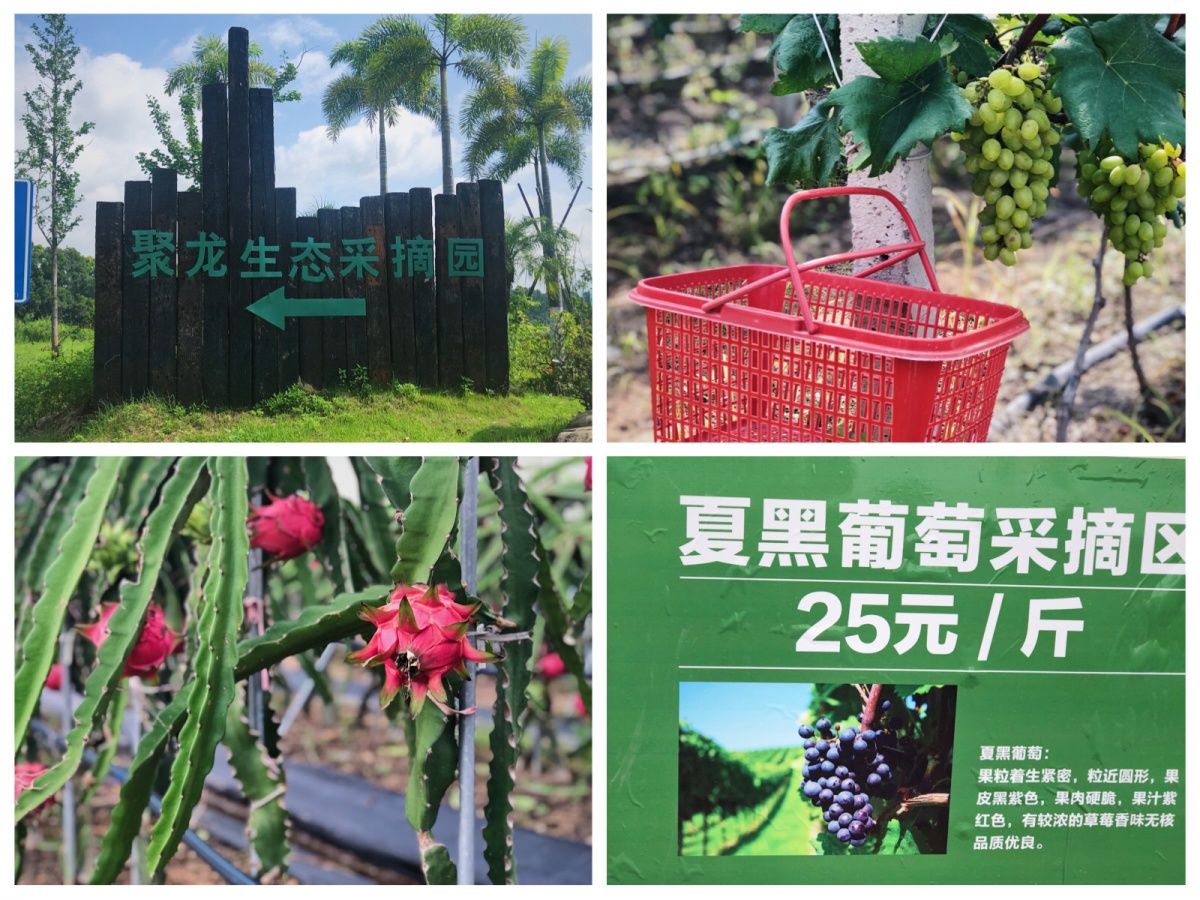 厦门温泉酒店吃住一体团购,厦门温泉酒店温泉套票