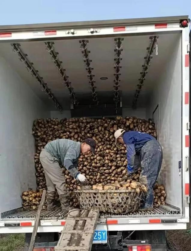 疫情防控常态化，人生的真相原本就是艰难二字