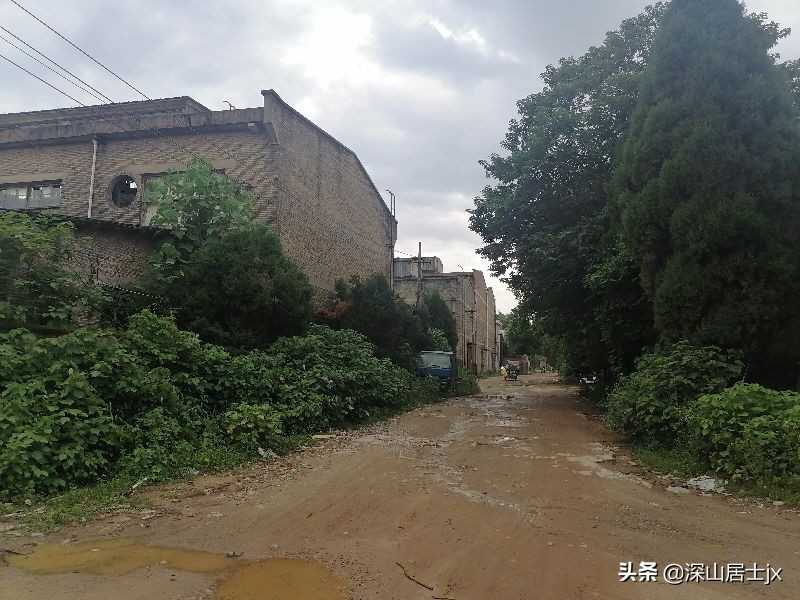 第一个下海的泰和县联合收割机厂