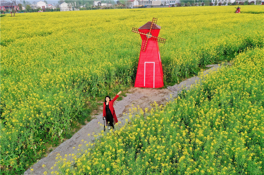 我和宿州有个约会，一场花事，一次慢旅行，探寻最烟火的宿州味道