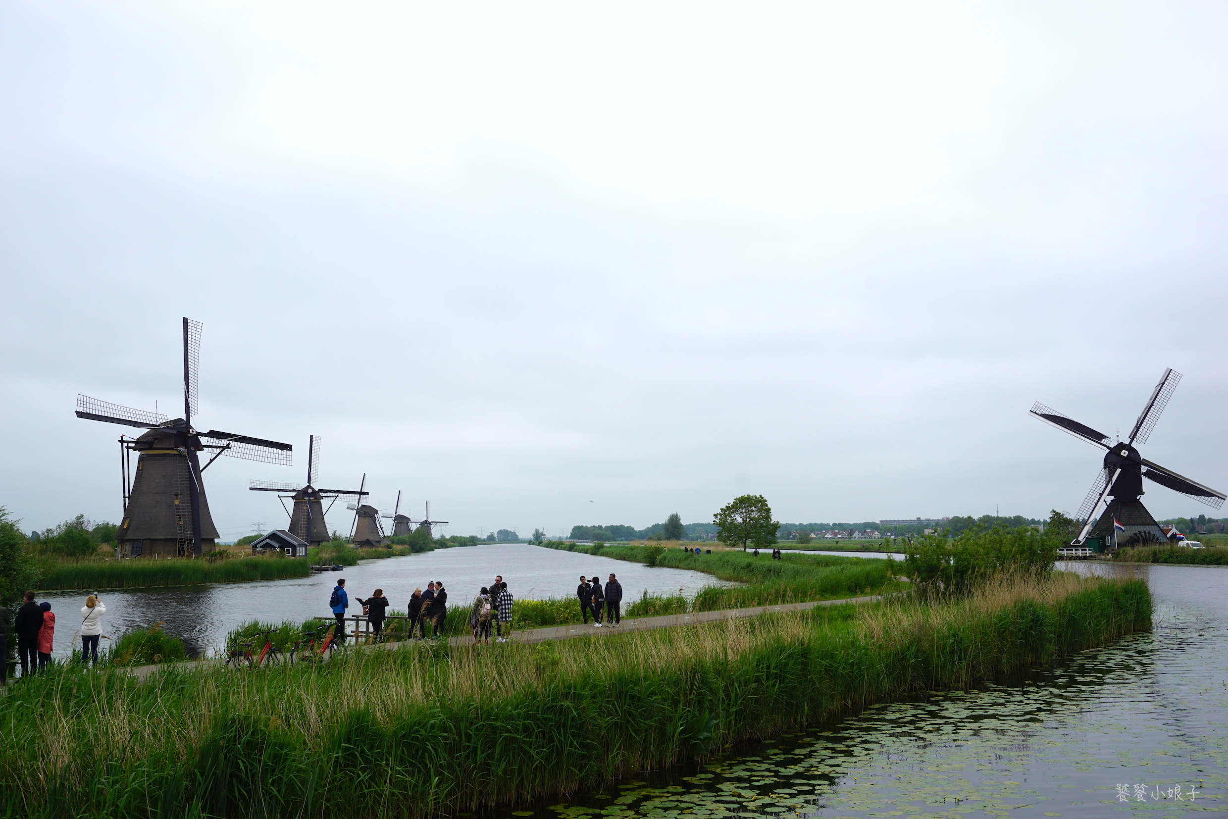 荷兰风车为什么这么多,荷兰为什么被称为风车国