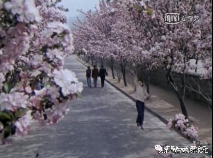 曾经在青岛拍摄过的少儿题材电影,青岛拍摄的儿童电影