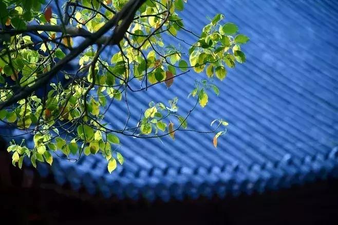 表达自由洒脱励志的古诗词,意境绝美的励志古诗词大全