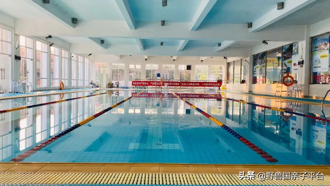 哪里学游泳最便宜又好,暑假学游泳去哪里学