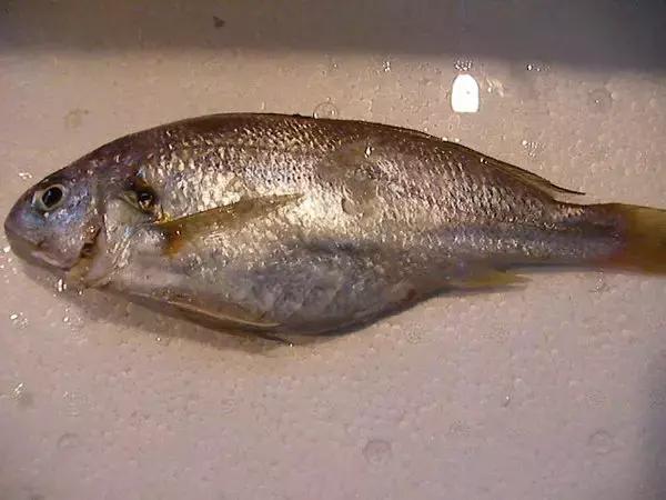 防城港怎么吃海鲜便宜不被坑,防城港干货海鲜有哪些