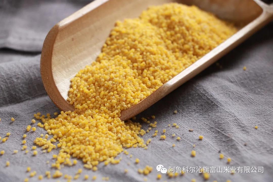 富山小米你了解吗？