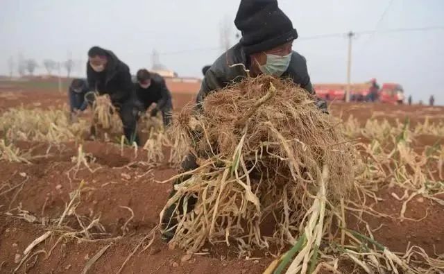 这些绝对让你感动到哭的抗疫故事