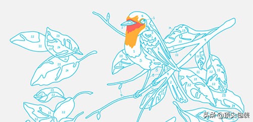 单独纹样花卉设计图案作业,以图形为主题形象的包装设计