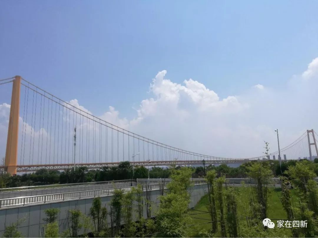 武汉四新宜居楼盘,四新最好的地段