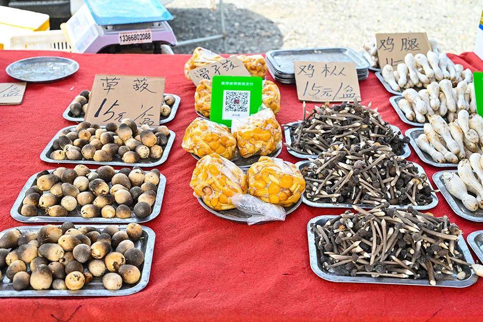 北京京郊大集地理位置,今天京郊哪有大集